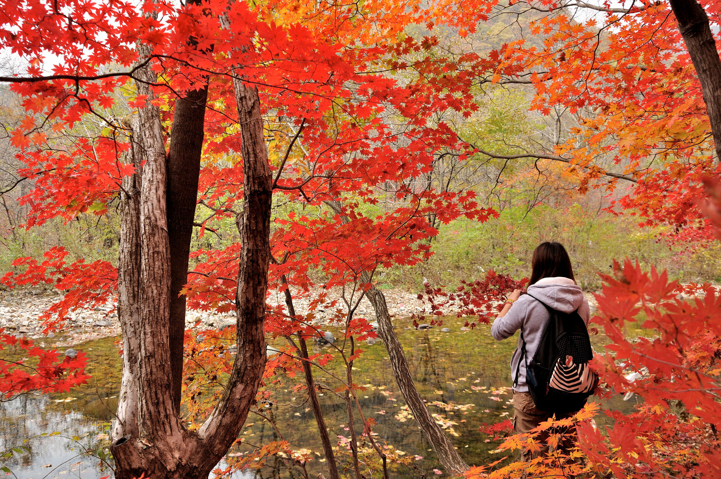丹东风光无限,丹东风光视频
