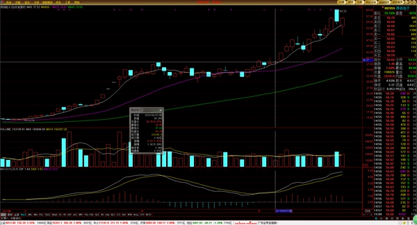高级操盘手必备技巧,顶级操盘手的10个日常步骤供参考
