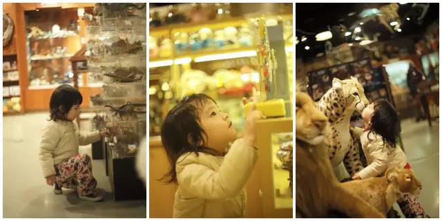 台北亲子游必去景点有哪些地方 (台北亲子游3天攻略)