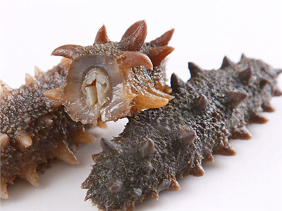 适合孕妇境外旅游的地方推荐,什么国家适合孕妇旅游