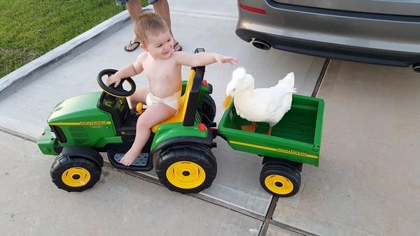 男宝宝小游戏玩具,男宝宝小游戏