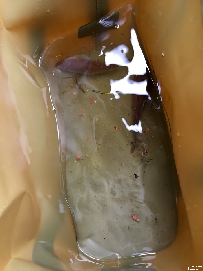 2016第四钓大腰水库