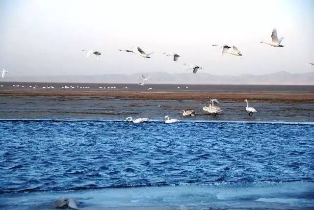 中国十四天旅行攻略 (顺着24节气游遍中国)