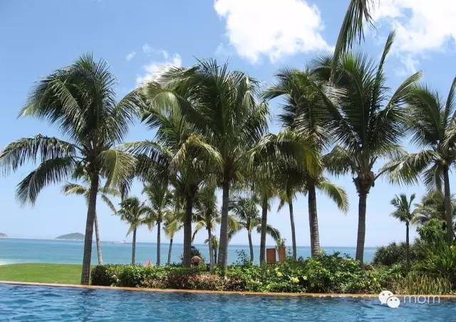 中国每个季节的旅游攻略 (中国一年四季的旅游攻略)