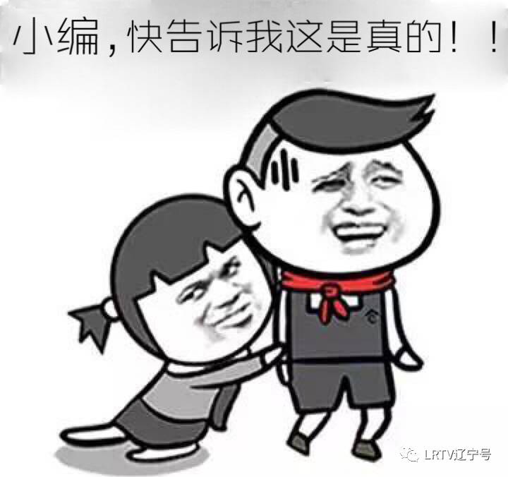 沈阳将建专业足球场,沈阳建设公园足球场