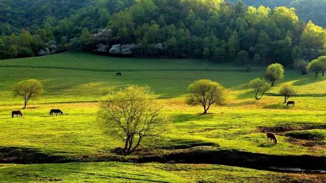 学习主席写计划，制定2017最雄心壮志的旅行书······