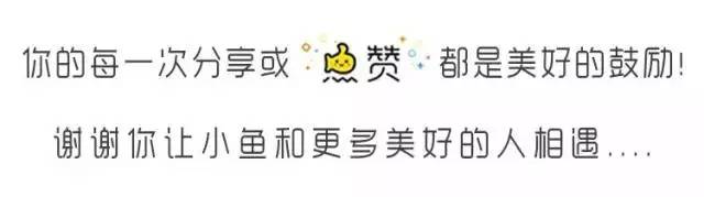 东湖绿道骑行游玩攻略,东湖绿道游船攻略