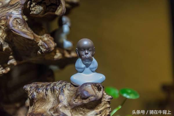 乾隆六下江南去的是哪些地方,徐志摩家乡旅游攻略