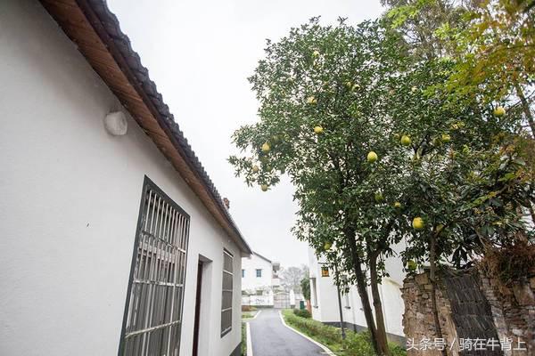 乾隆六下江南去的是哪些地方,徐志摩家乡旅游攻略