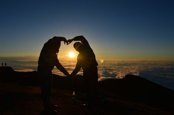陪伴是最长情的告白反义词,陪伴是最长情的告白意思