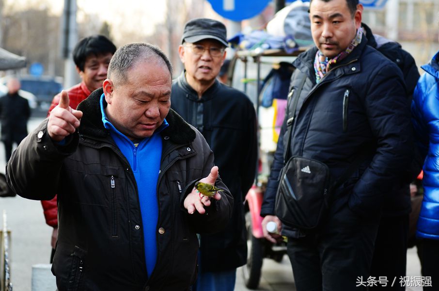北京十大花鸟鱼虫市场,北京官园花鸟鱼虫市场现在开放吗