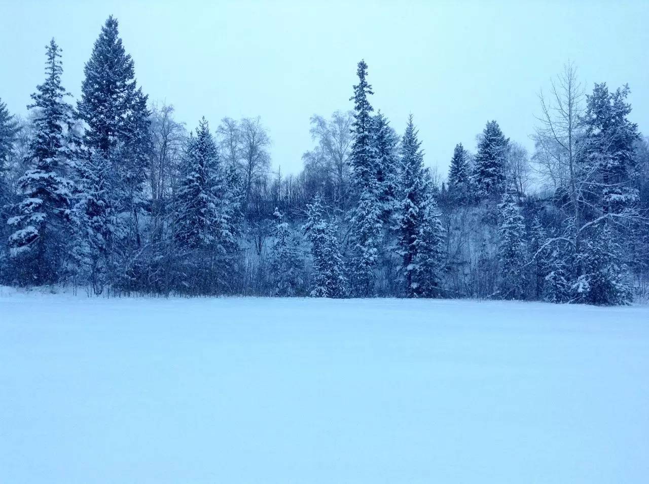 还没来得及到加拿大？那就跟着电影先看看吧！