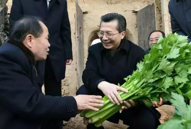 重磅|王永康南风吹来满眼春