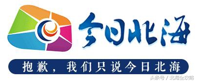 全国第二届青少年足球北海赛区,2024广西北海青少年足球邀请赛