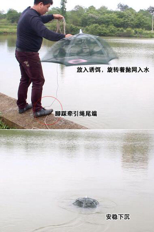 快速捕到鱼的方法,怎么捕野生鱼最好吃