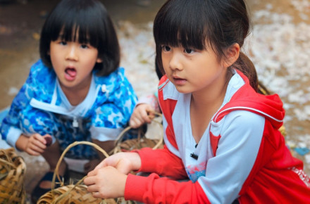 贝儿杨阳洋费曼摘菠萝,爸爸去哪儿贝儿杨阳洋费曼