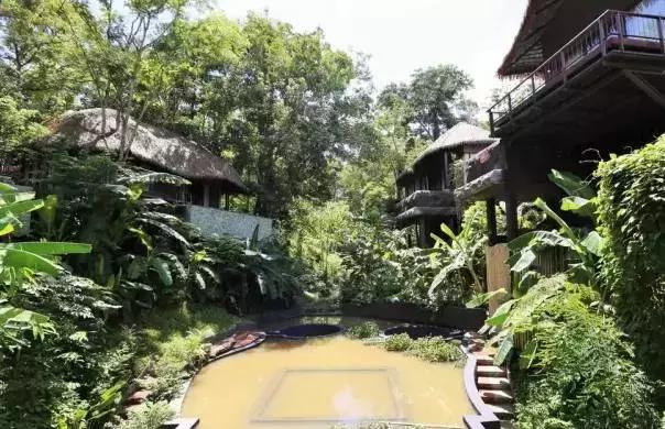 楦熷发搴﹀亣閰掑簵浣撻獙,闅愯棌鍦ㄥ師濮嬫.鏋楃殑娴峰崡楦熷发閰掑簵