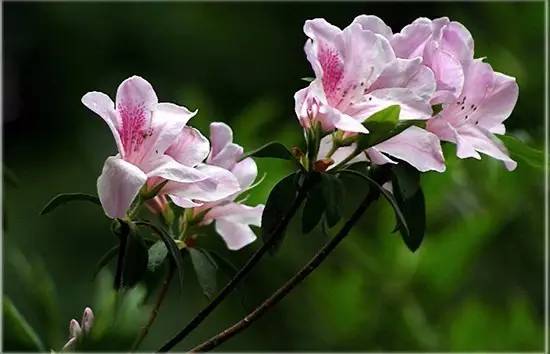 厦门有哪些山峰,厦门哪些山可以爬的