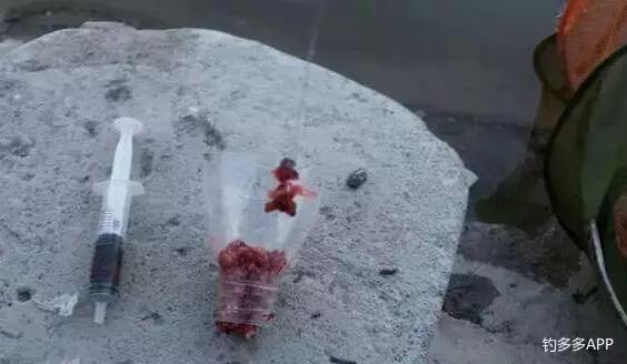 红虫感染不用愁，撸串神器解君忧