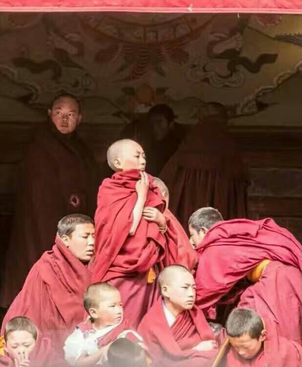 看完这些摄影作品点评，你的摄影技能会有大幅提升