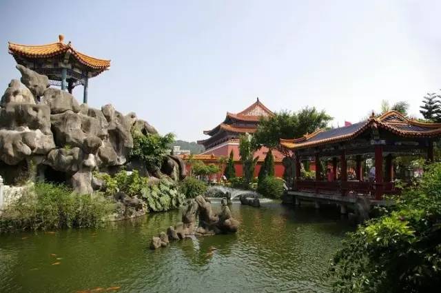 厦门冷知识你知道多少,冷知识糖怎么来的