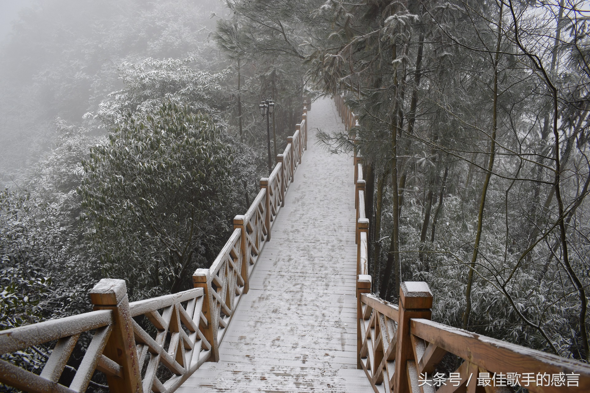 尼康d3300相机推荐新手入门,尼康d3300单反相机入门教程