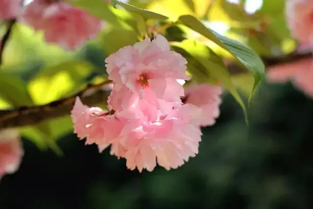 中山公园前生,景山公园的玄机