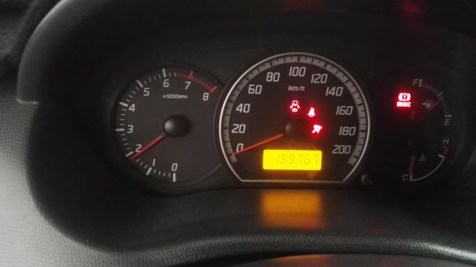 购买几千雨燕,买雨燕被坑