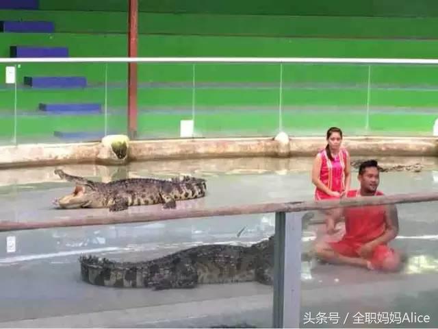 带上宝宝去泰国旅游,泰国旅游带宝贝去哪里