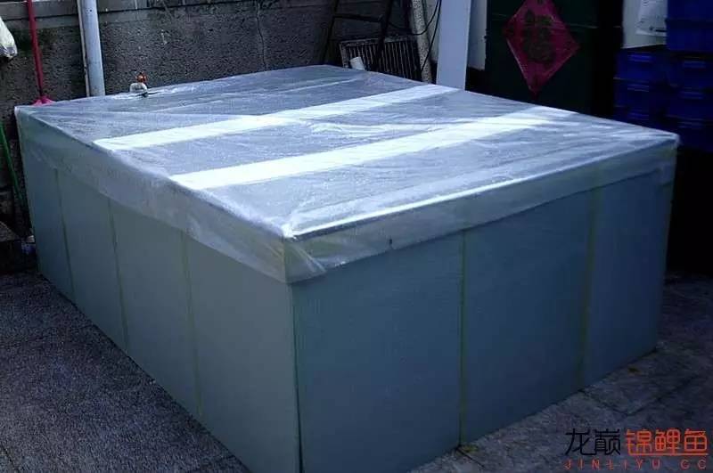 锦鲤春季养殖管理注意事项,锦鲤过冬的正确方法