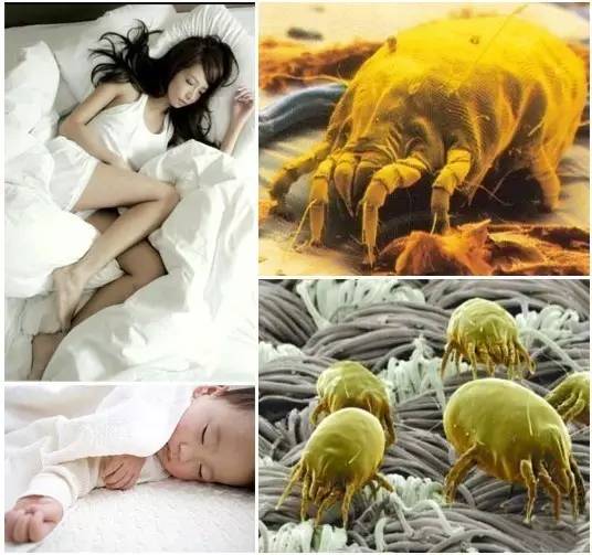 原来每天都和她们睡在一起，你知道吗？