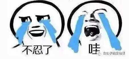 女生一上课来大姨妈了怎么办,女生上课突然来姨妈