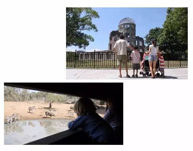 一辆车环游世界,开车环游全球