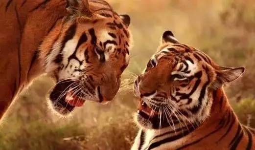 涨姿势啦！这些最苏州，你知道多少？原来苏州竟然这么牛！