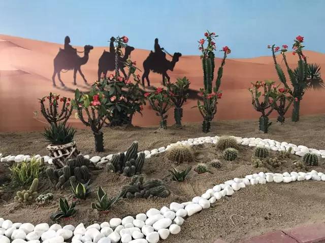 就在今日,百万鲜花盛放!南海这个“花花世界”等你来赏!