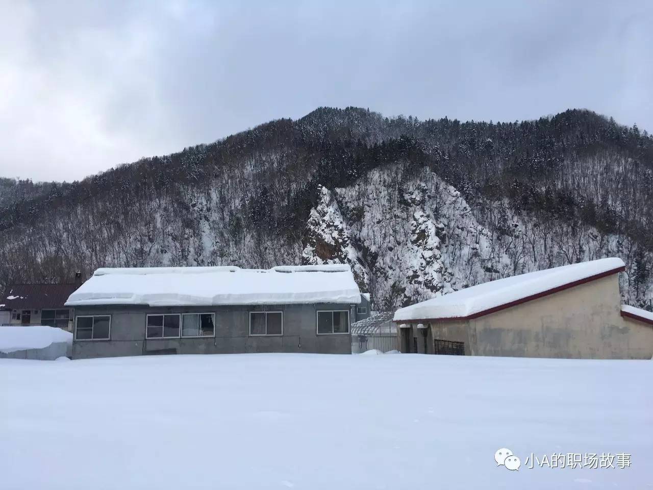 大阪京都五日游攻略大全,攻略318