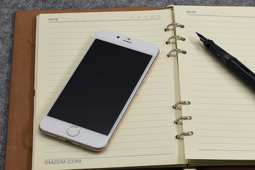 鏈靛敮l9mini灏哄,鏈靛敮鎵嬫満l9杩蜂綘