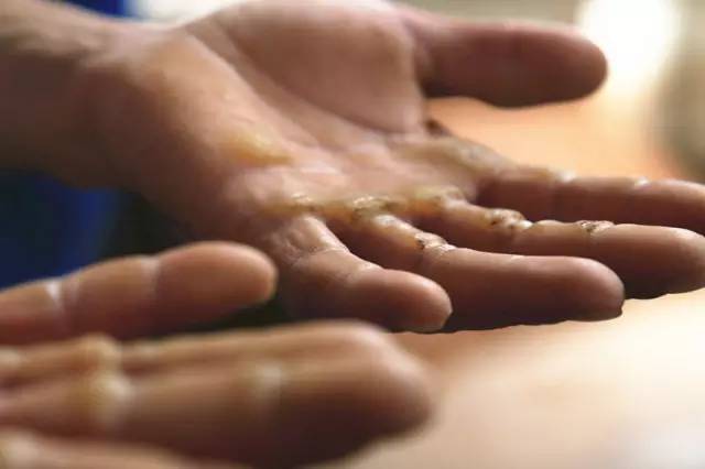 洋河股份上涨10.00%,洋河股份最近为何大涨