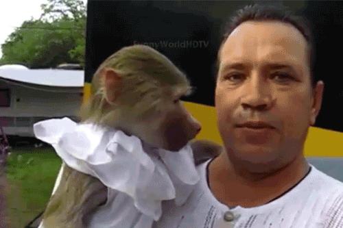 信息快报|第281期(今日共18条)好想使劲抓着雾霾脖领子,问问他我的快递呢?