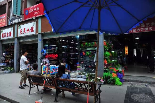 成都年货必备清单一览表,成都年货采购攻略