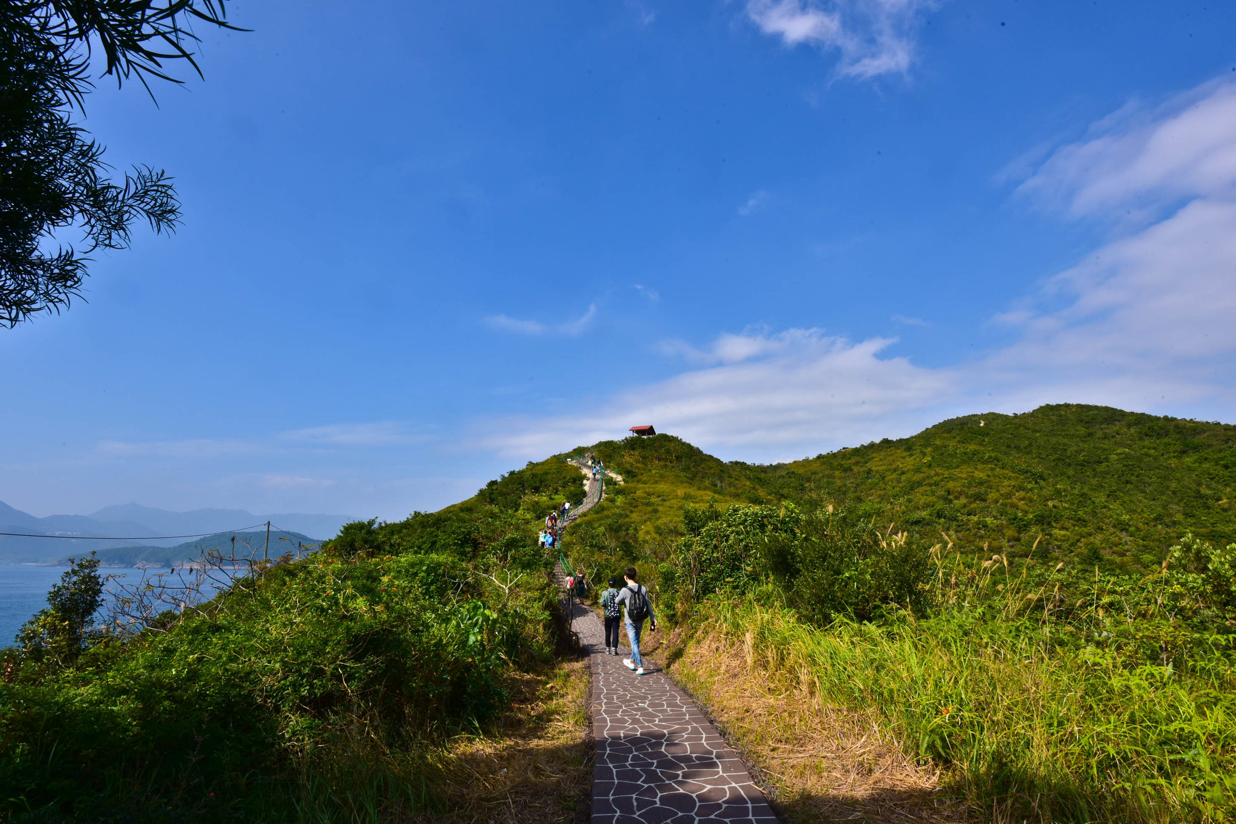 兔子游云南,兔子游老君山视频