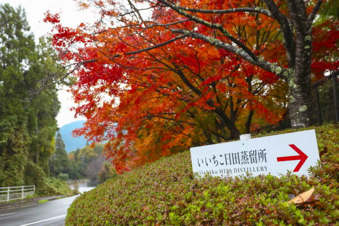 冬日和闺蜜出游,3天2夜的温泉之旅