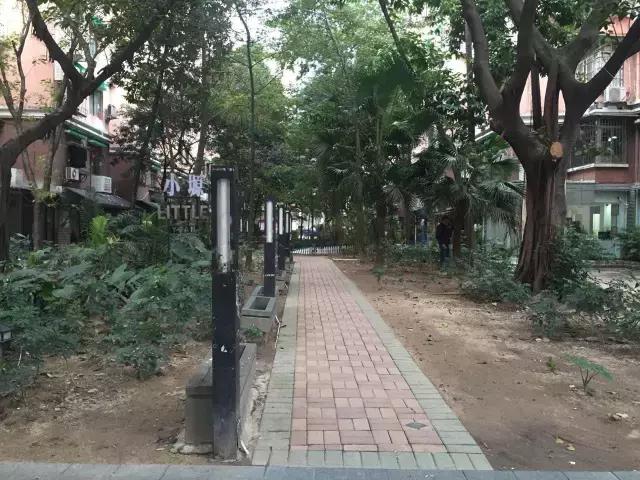 天河丨留意到了吗？你的家门口悄悄发生了这些改变