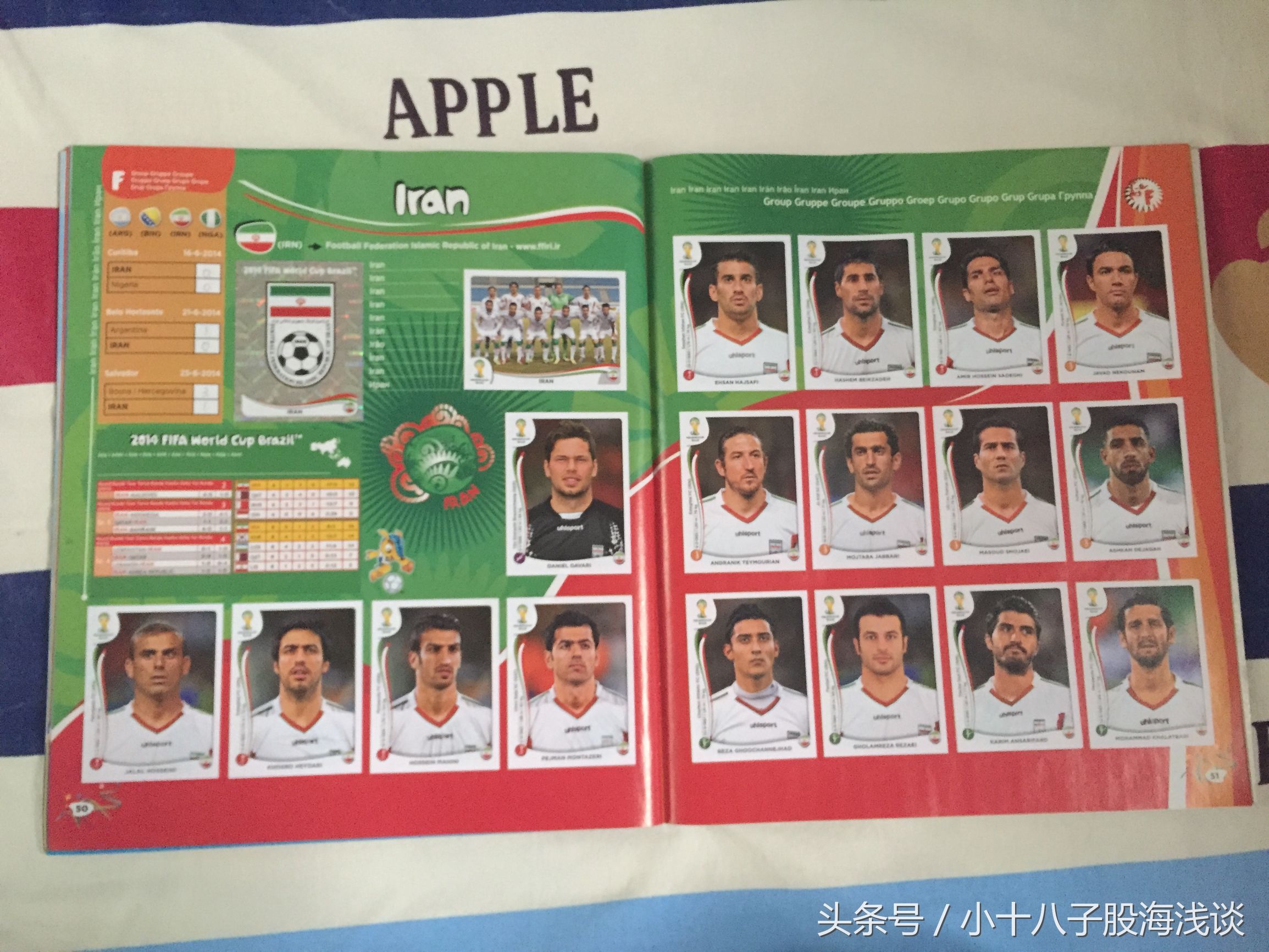 帕尼尼世界杯贴纸,帕尼尼2022世界杯收藏贴纸