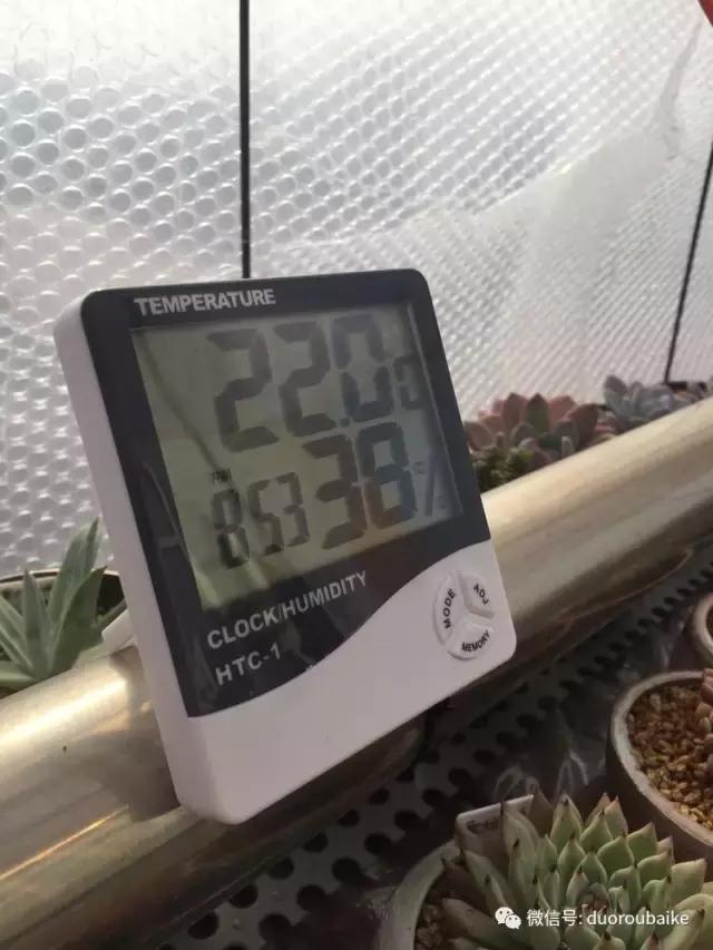 没有暖气的包邮区,肉肉照样美美的!