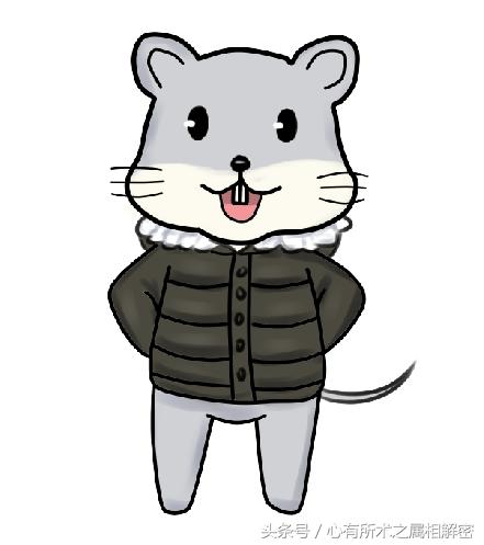 各生肖五行一览表,生肖运势大全简单易学