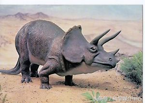 食草恐龙有什么种类,中国棘龙科恐龙种类