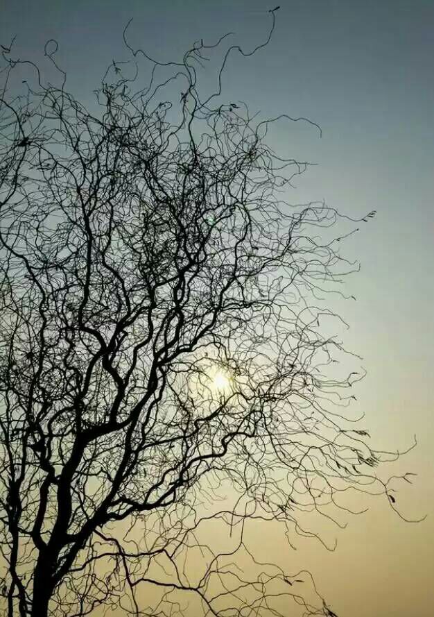 给摄影爱好者的十二条摄影经验,看完这组摄影作品你还淡定吗