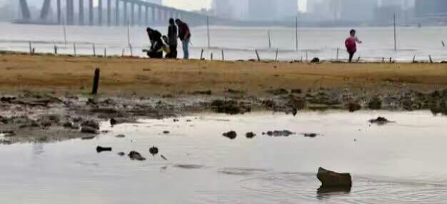 看完这些摄影作品点评，你的摄影技能会有大幅提升