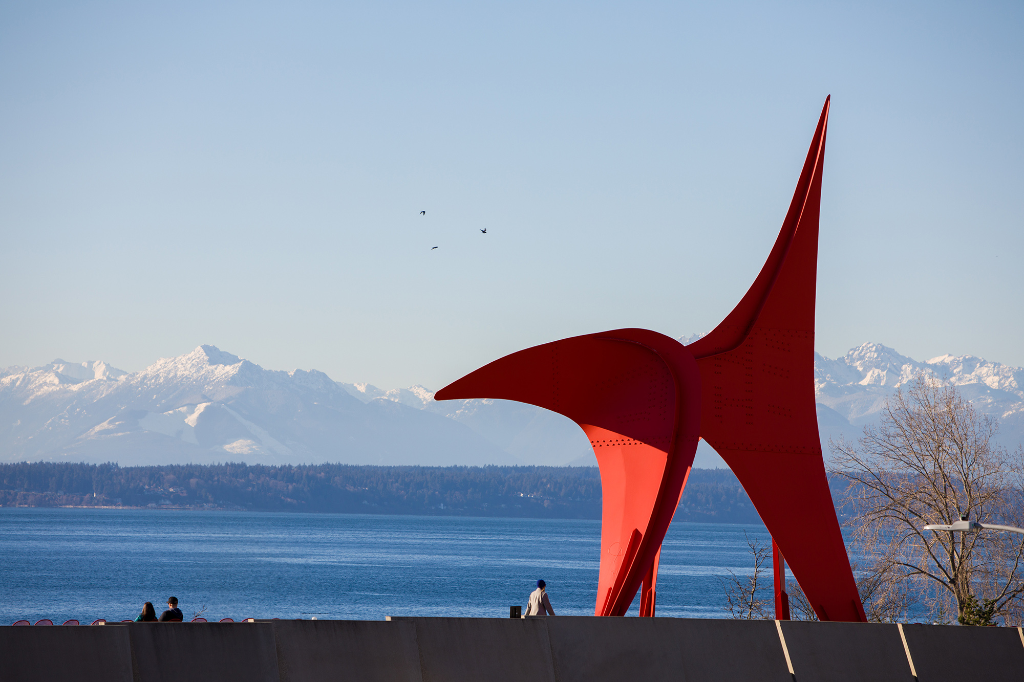 佳能ef70-300mmf4-5.6iii三代,佳能ef70-200f4拍摄样张